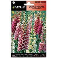 Semillas de Flores - Digitalis - Dedalera excelsior híbrido - Batlle